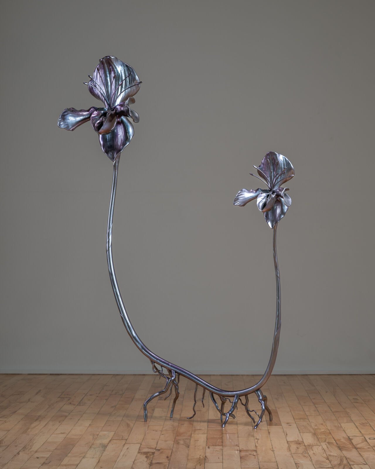 Isabelle Albuquerque