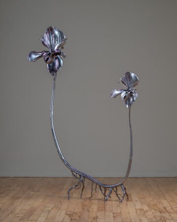 Isabelle Albuquerque