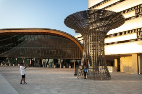 The Wind Tree