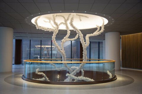 Decoding the Tree of Life: Maya Lin's Sculpture at Penn Medicine's New Pavilion