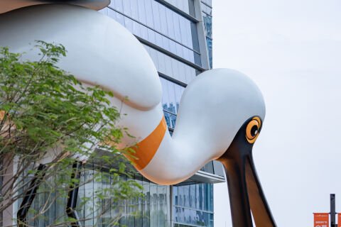 黑脸琵鹭
