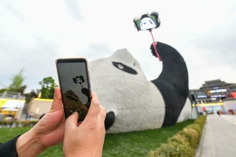 Selfie Panda Gains Popularity in China and Rest of the World