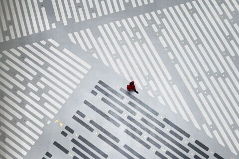 十位国内外知名当代艺术家场域定制作品即将于上海图书馆东馆正式揭幕