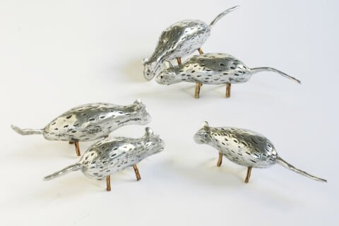 Bush Mice