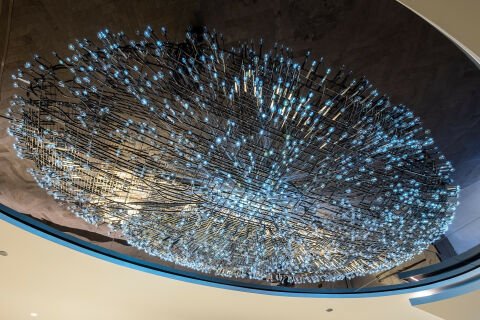 芝加哥北极星