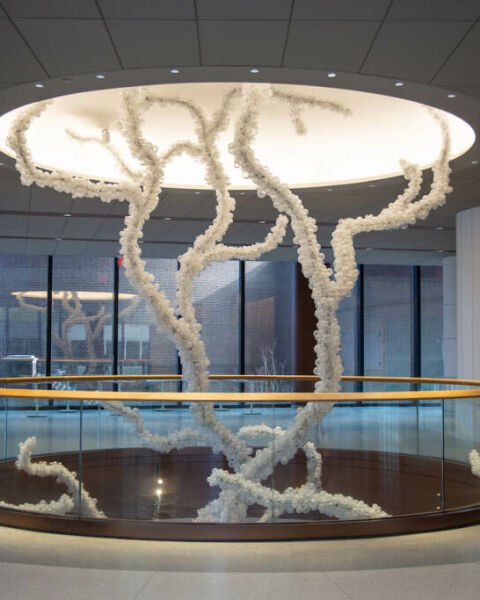 Decoding the Tree of Life: Maya Lin's Sculpture at Penn Medicine's New Pavilion