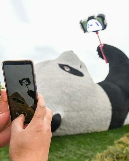 Selfie Panda Goes Viral