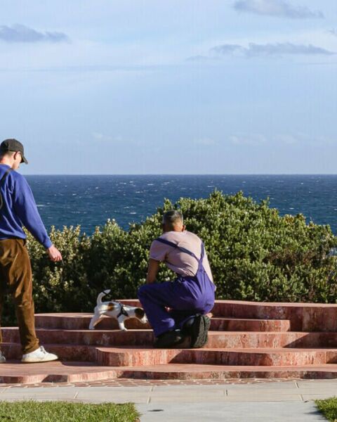 Launch of Bondi Memorial: Rise